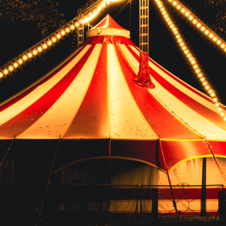 Capturing the magic of the English circus | True Grace Journal