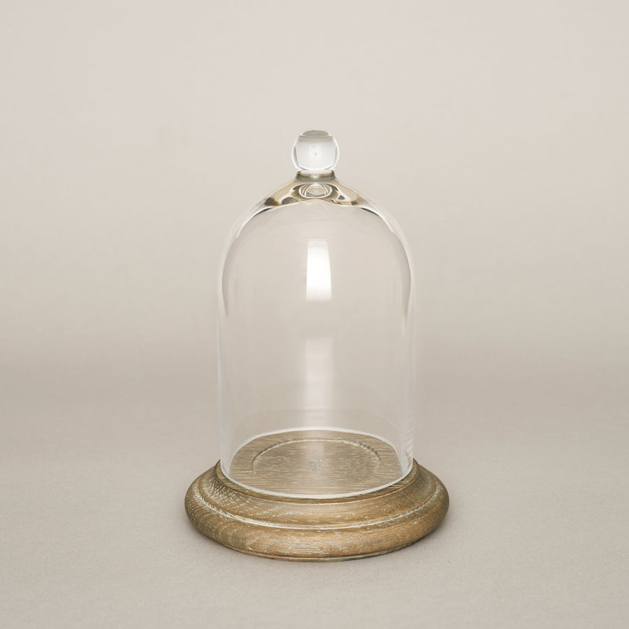 Small Glass Cloche — Candles & Accessories Collection | True Grace