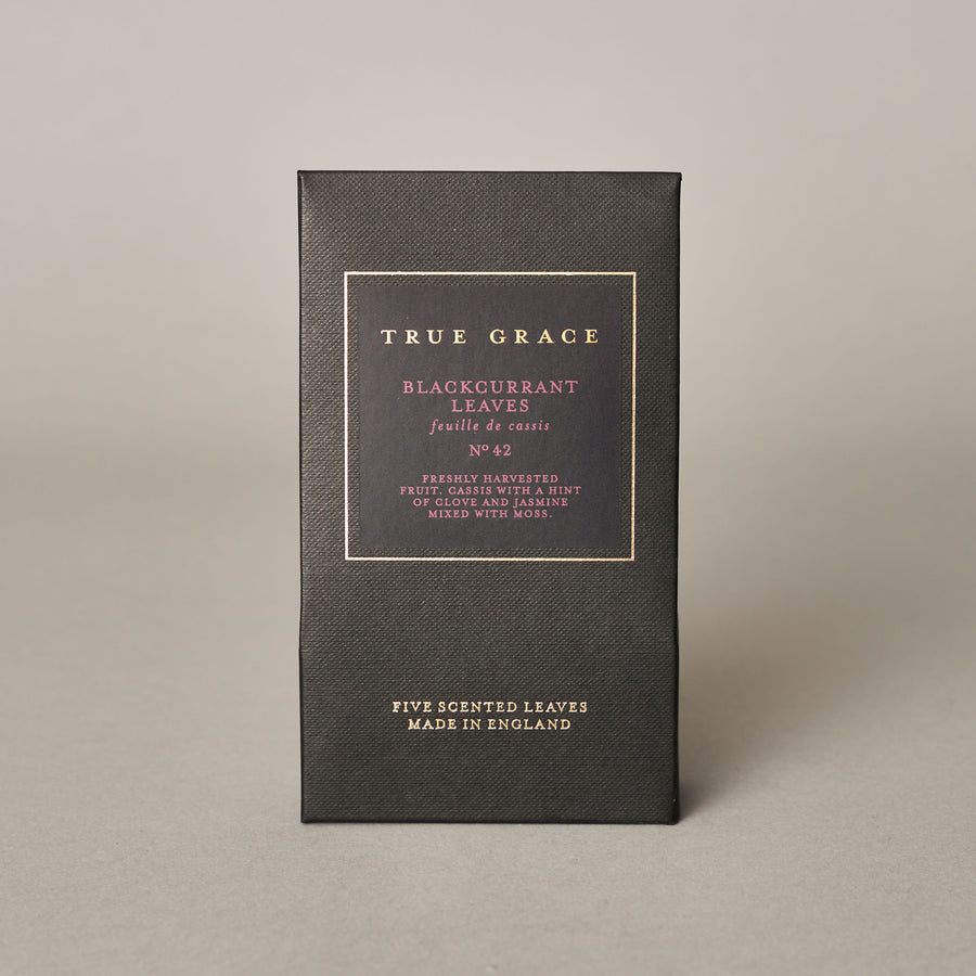 Blackcurrant leaves scented leaves | True Grace