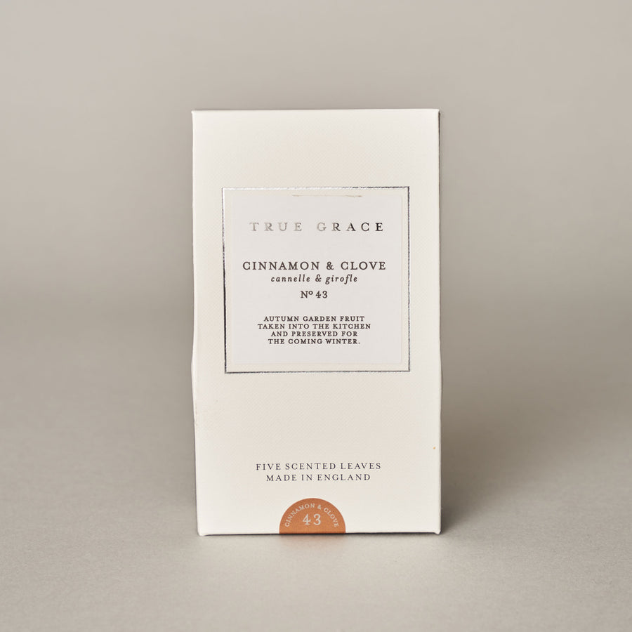 Cinnamon & Clove Scented Leaves — Village Collection Collection | True Grace