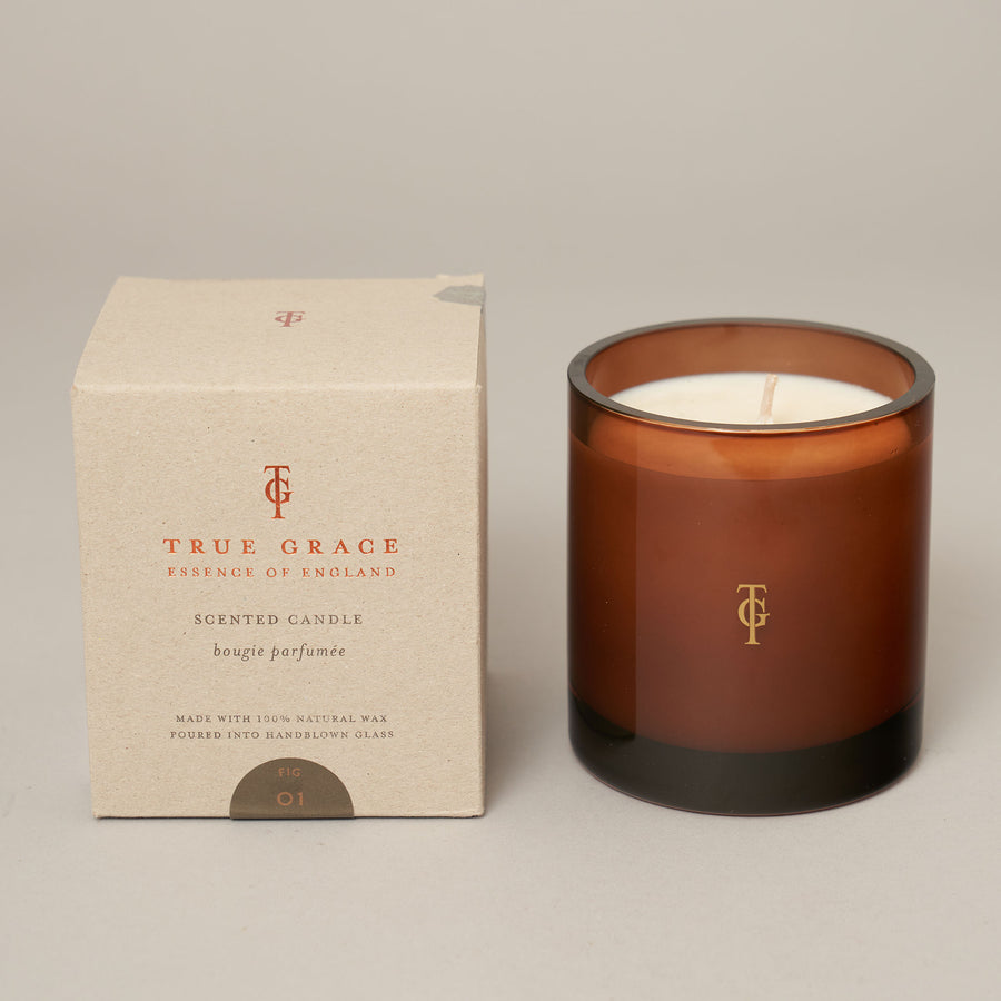 Fig Medium Candle — Burlington Collection Collection | True Grace