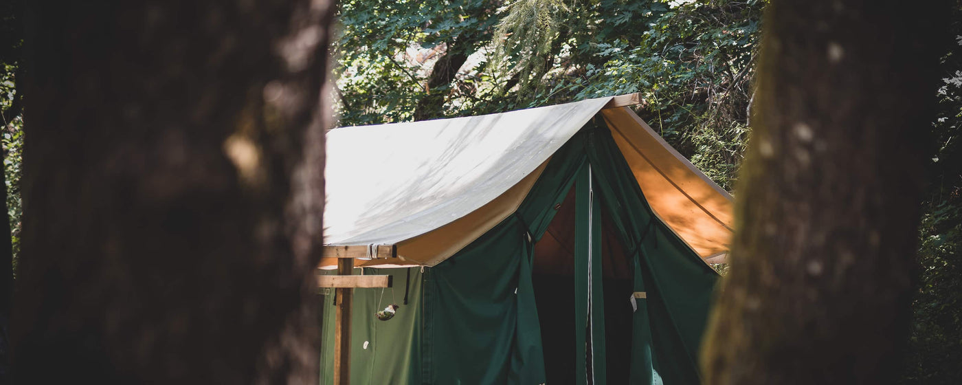 Sunlit Tent in the woods | True Grace Explorer Gift Persona