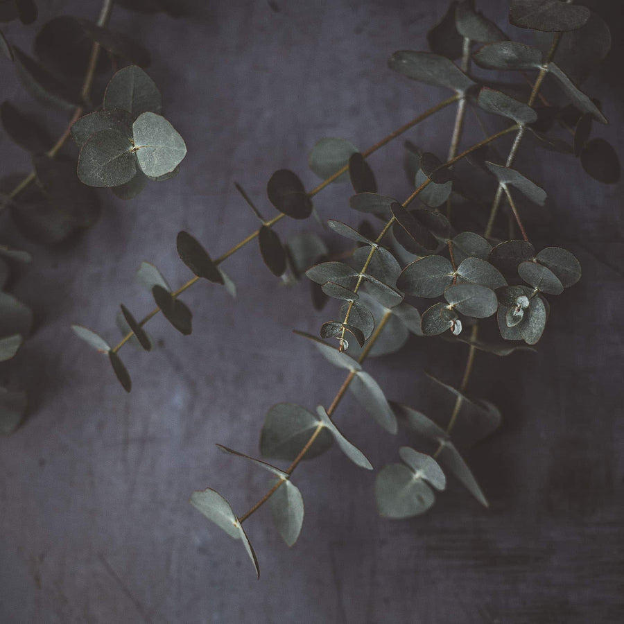 Rosemary & Eucalyptus | True Grace