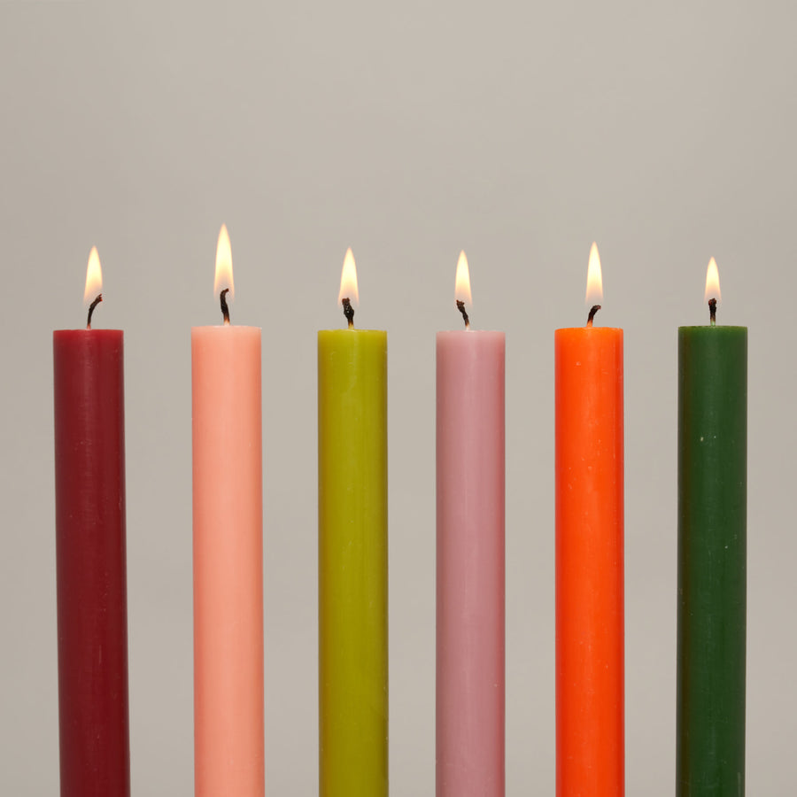 Forest Finds ~ Box of 12 Dining Candles — Coloured Dining Candles Collection | True Grace