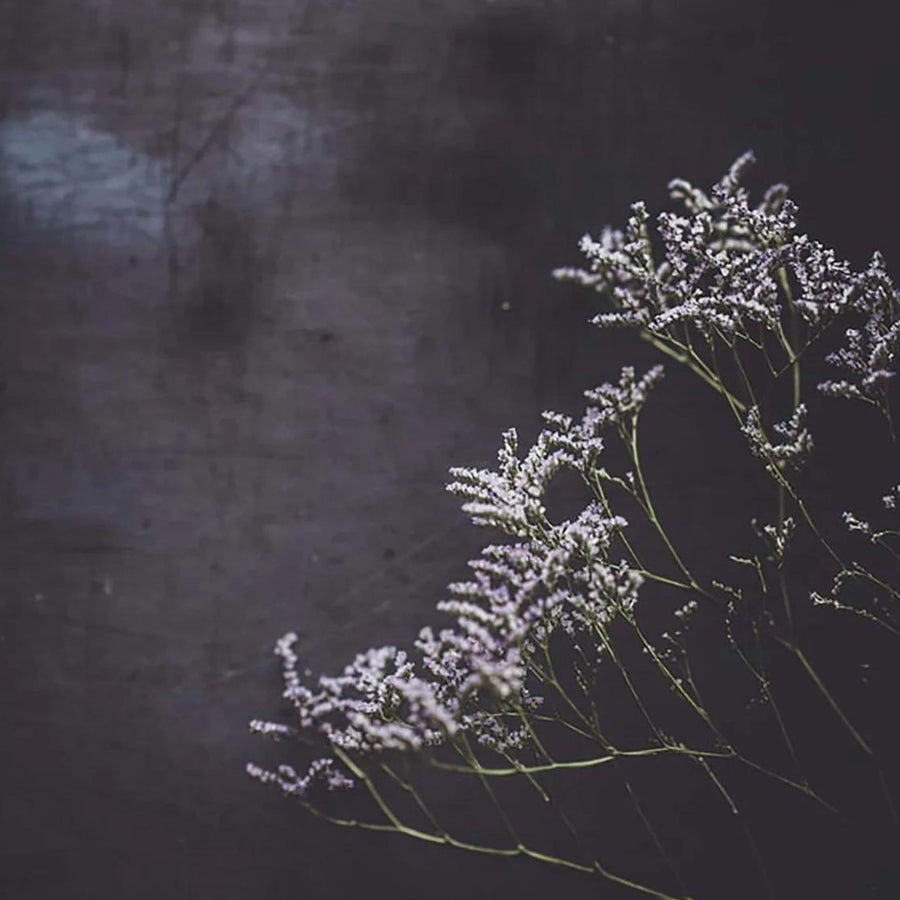 English Lavender | True Grace