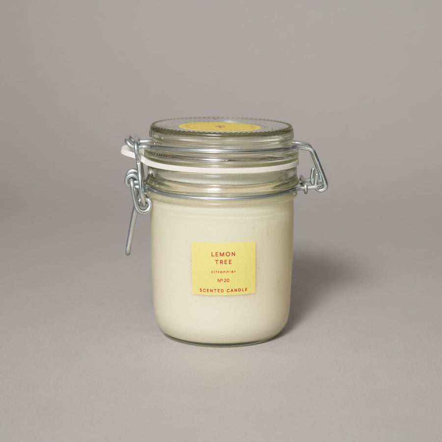 Lemon tree large kitchen jar candle | True Grace