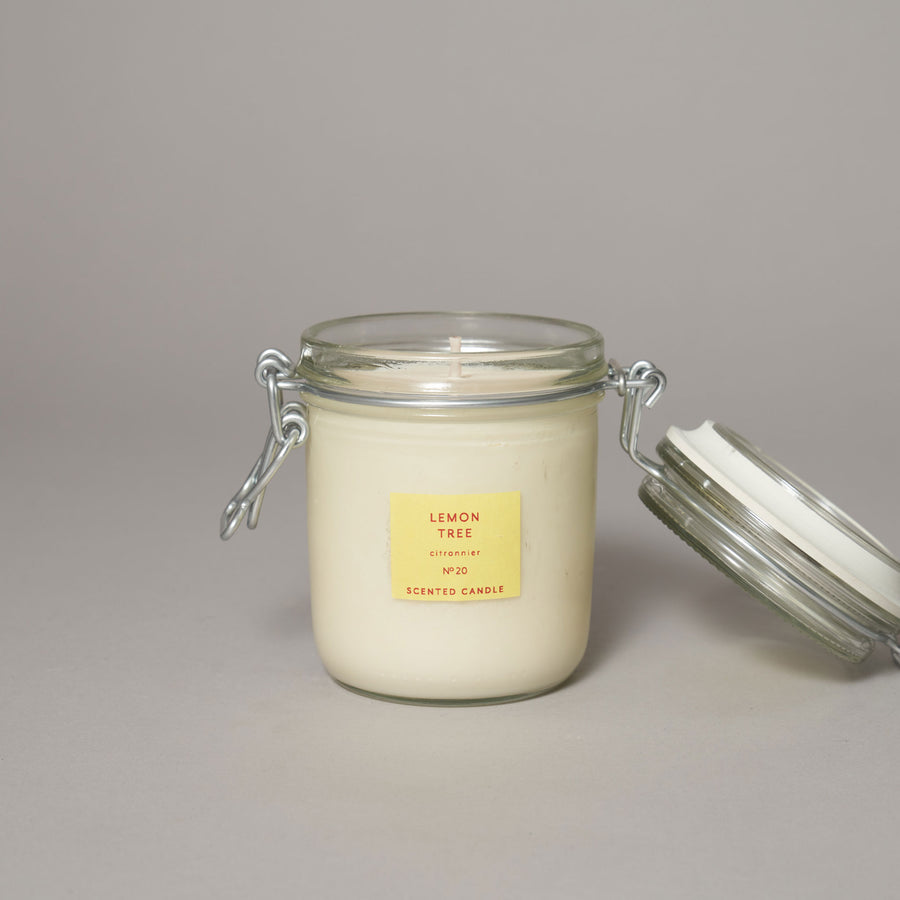 Lemon Tree Large Kitchen Jar Candle — Walled Garden Collection Collection | True Grace