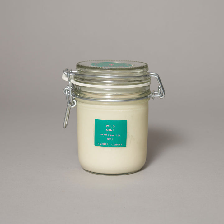 Wild Mint Large Kitchen Jar Candle