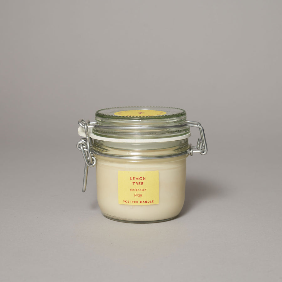 Lemon Tree Medium Kitchen Jar Candle — Walled Garden Collection Collection | True Grace