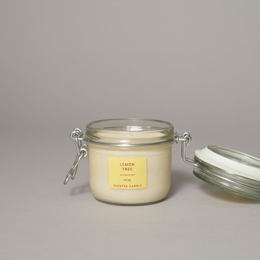Lemon Tree Medium Kitchen Jar Candle — Walled Garden Collection Collection | True Grace