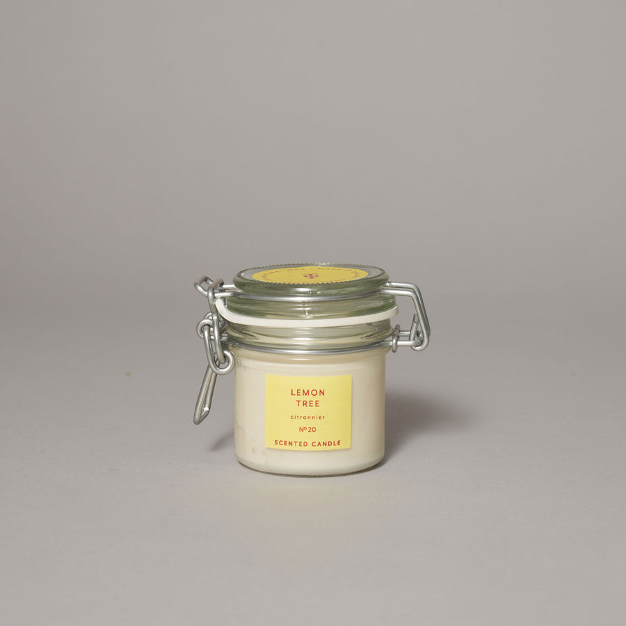 Lemon Tree Small Kitchen Jar Candle — Walled Garden Collection Collection | True Grace
