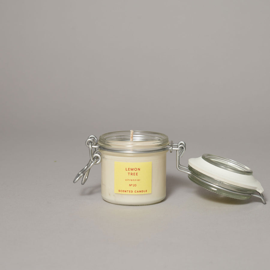 Lemon tree small kitchen jar candle | True Grace