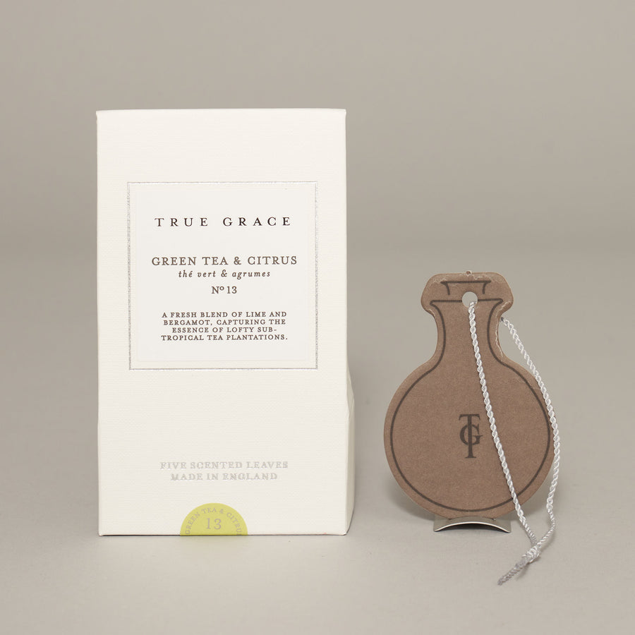 Green Tea & Citrus Scented Leaves — Village Collection Collection | True Grace