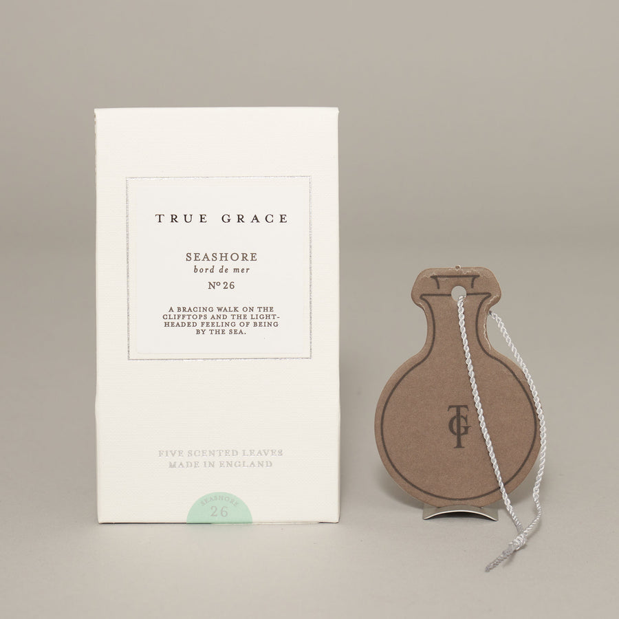 Seashore Scented Leaves — Village Collection Collection | True Grace
