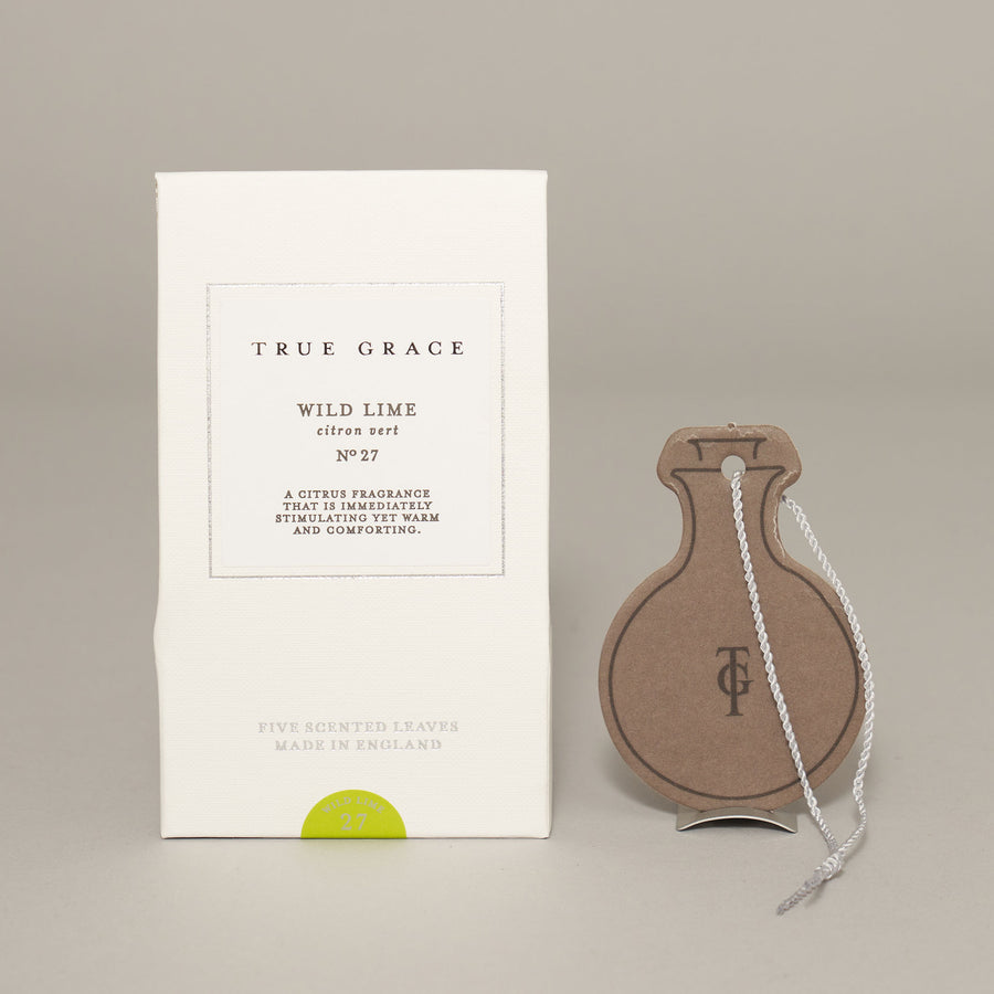 Wild Lime Scented Leaves — Village Collection Collection | True Grace