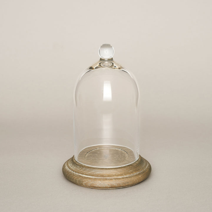 Small Glass Cloche