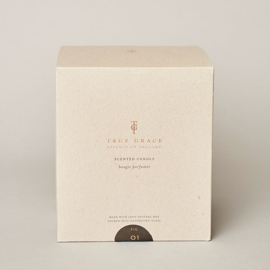 Fig large candle | True Grace