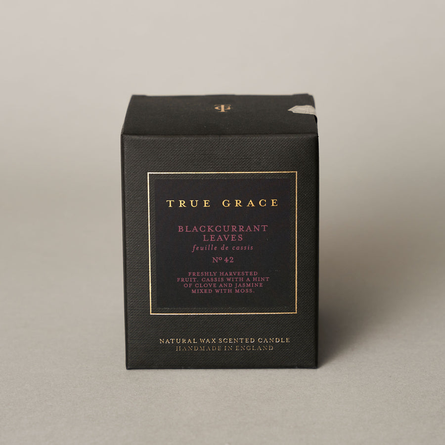 Blackcurrant leaves classic candle | True Grace