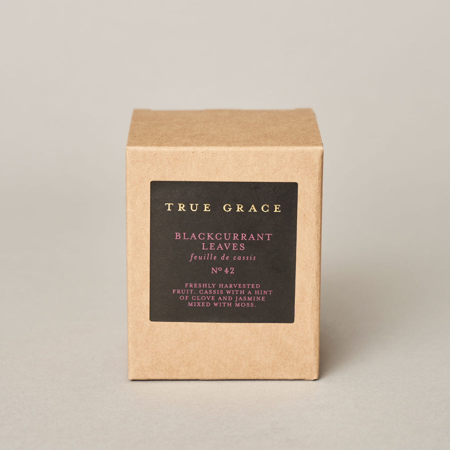 Blackcurrant Leaves 20cl Candle — Candles & Accessories Collection | True Grace