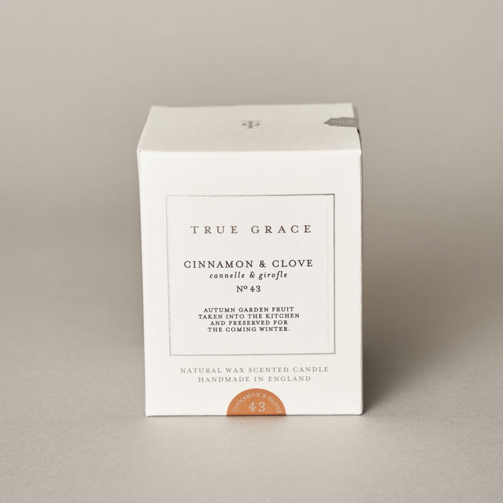 Cinnamon & Clove Classic Candle