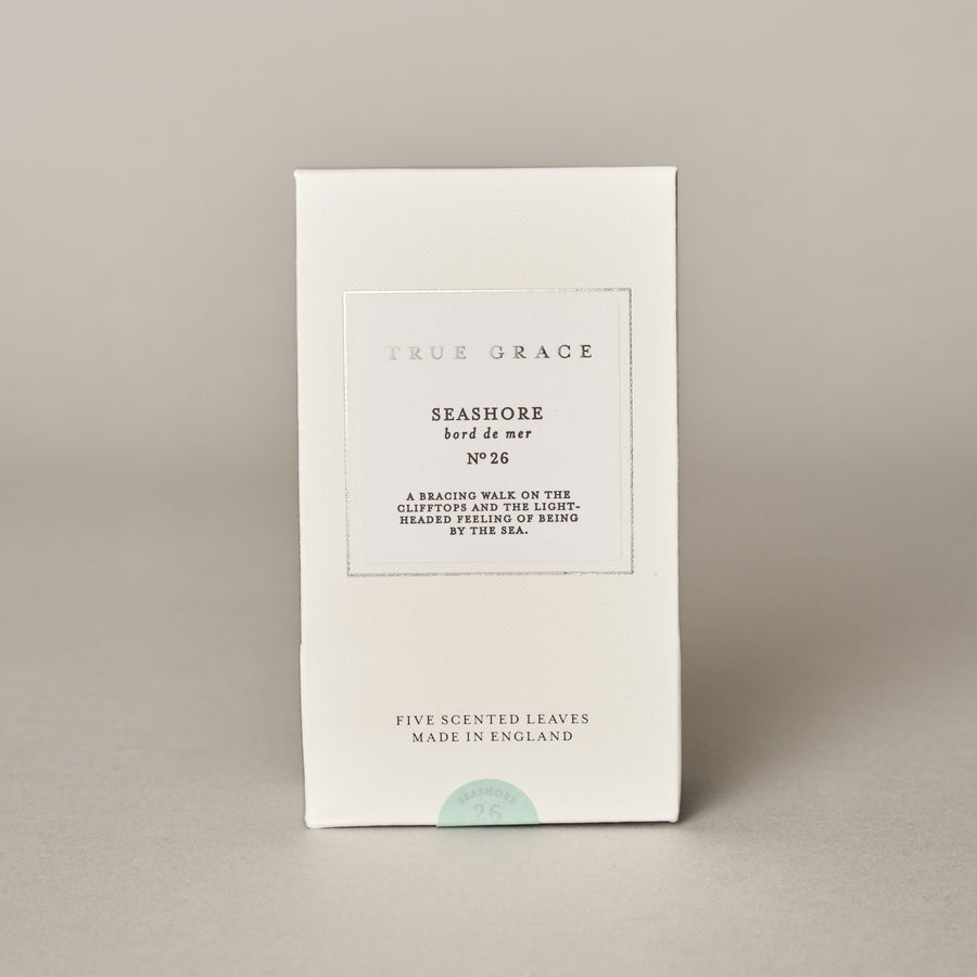 Seashore Scented Leaves — Village Collection Collection | True Grace